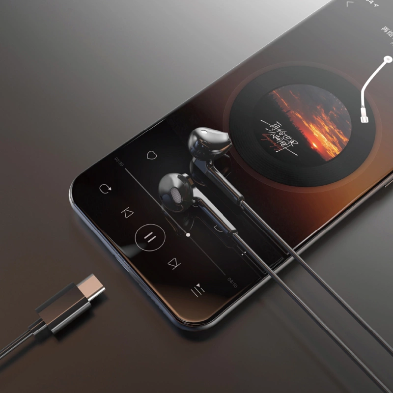 Dudao X3C In-Ear-Kopfhörer mit USB-C und Kabel, 1,2 m – Schwarz