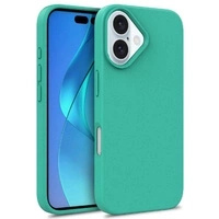 Multiple Color Wheat Case MagSafe für iPhone 16 Pro – Minze