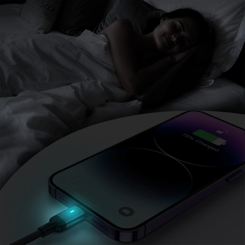 Joyroom USB - Lightning 2.4A A10 Series cable 3 m black (S-UL012A10)