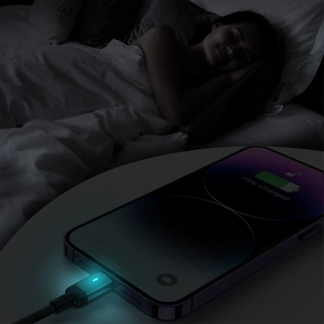 Joyroom USB - Lightning 2.4A A10 Series cable 3 m black (S-UL012A10)