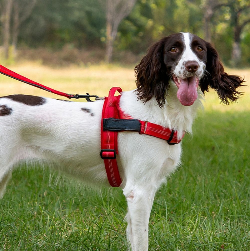 Szelki dla psa REFLECTIVE SILK rozmiar M czerwone